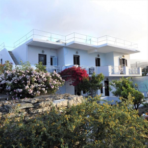 Alex Studios Tinos